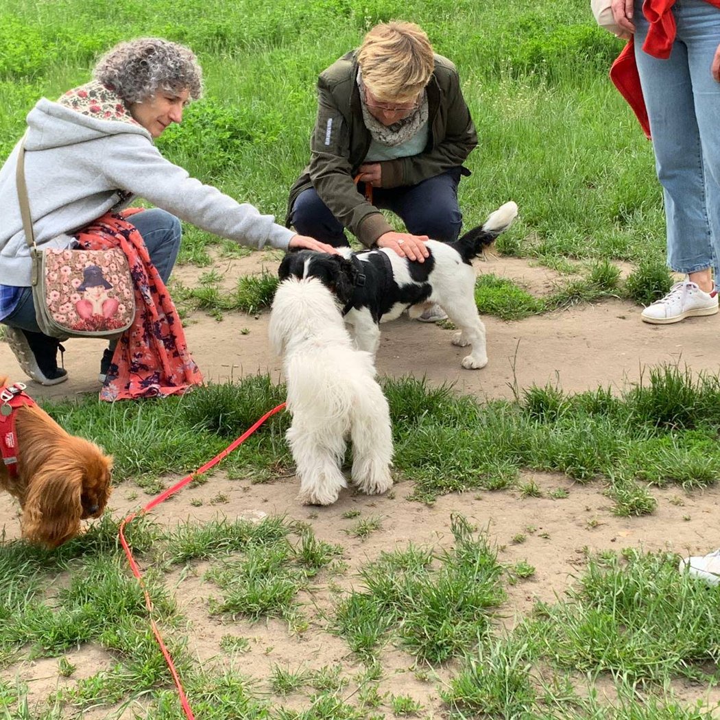 Mylène Genairon Éducateur Comportementaliste Canin - Parlez Vous Chien 3